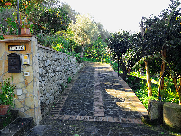 azienda milio ingresso
